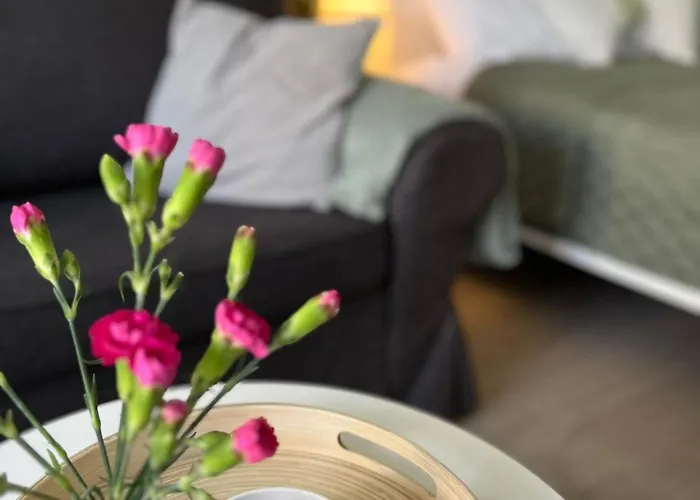 Apartamento Piaskowa Mountain & Coffee